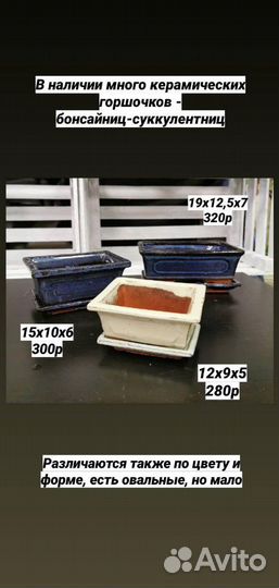 Бонсайница горшок керамический