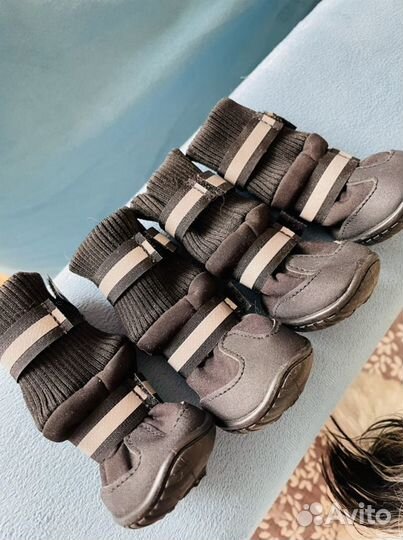 Ботинки для собак. Обувь для собак