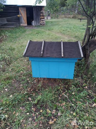 Прополис пчелиный