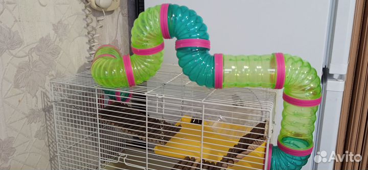 Клетка для хомяка