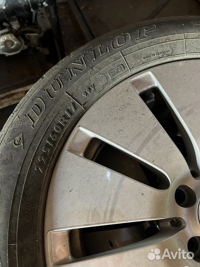 Резина Данлоп ранфлейт