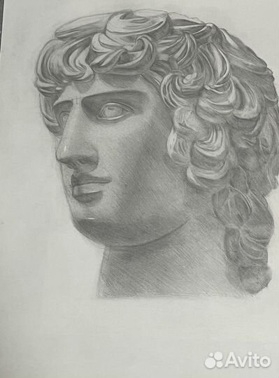 Репетитор по академическому рисунку