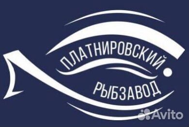 Кладовщик - сборщик