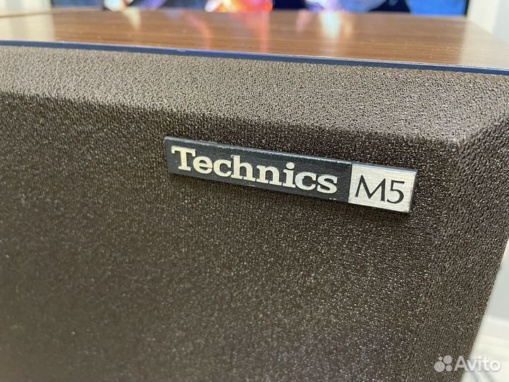 Акустика Technics SB-M5