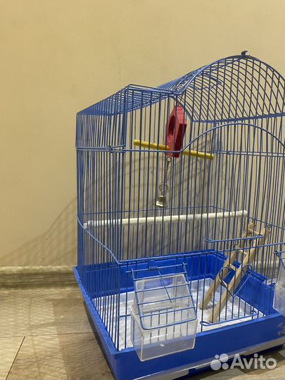 Клетка для попугая бу