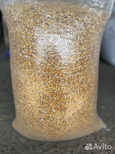 Кукуруза кормовая