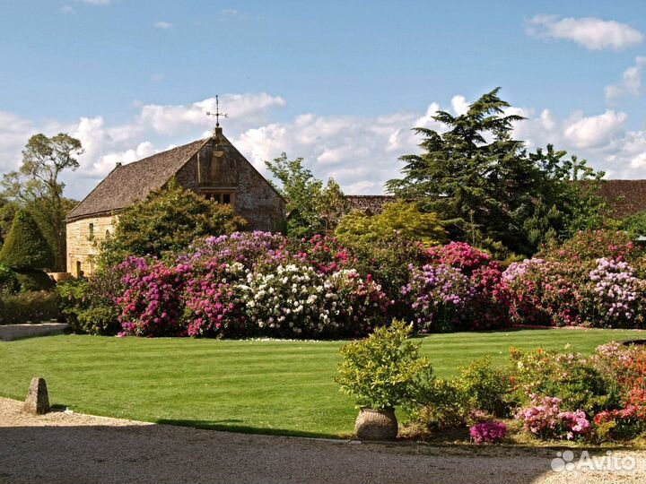 Рулонный газон с укладкой от производителя