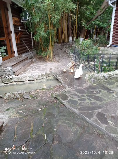 Участок 7,7 сот. (СНТ, ДНП)