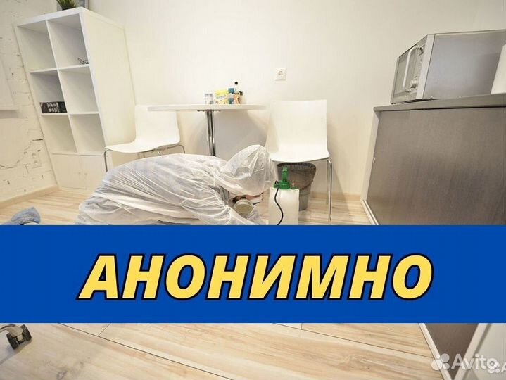 Уничтожим клопов тараканов клещей плесень запахи