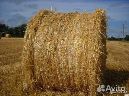 Солома в рулонах соевая