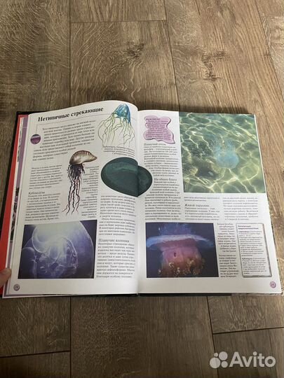 Энциклопедия про животных