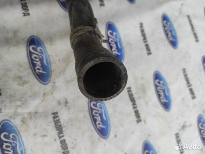 Патрубок радиатора Ford Focus 2 седан 1.8 qqdb