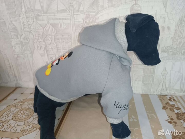 Кофта для собак