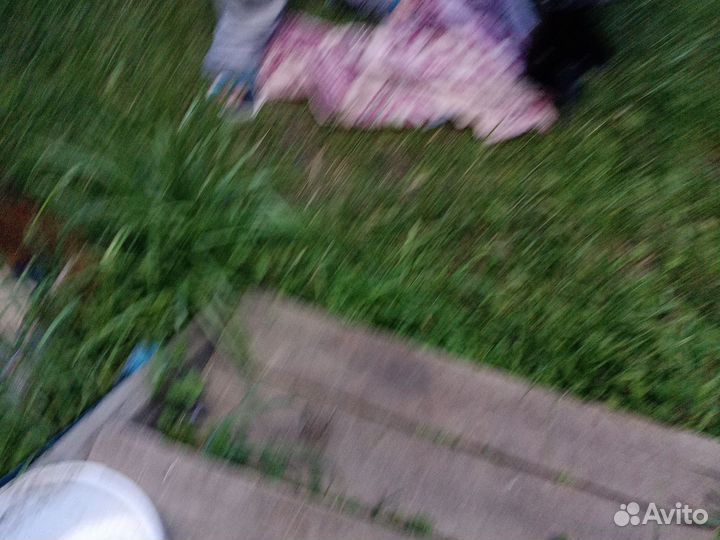 Мотор для лодки