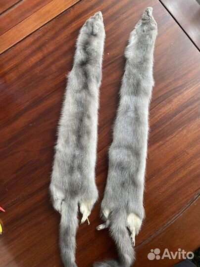 Шкурки норки
