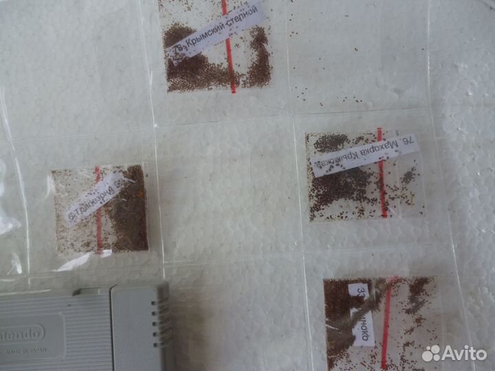 Семена табака