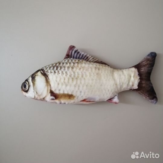 Новая рыба для кошки