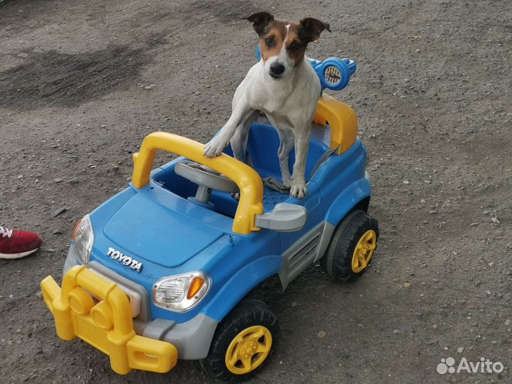 Детский электромобиль,и мотоцикл бу