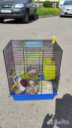 Клетка для грызуна