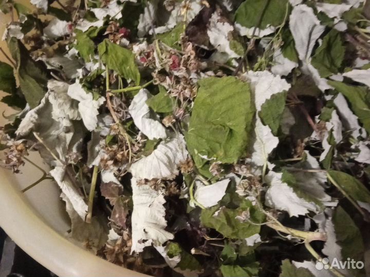 Листья малины