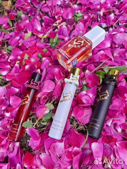Shaik масляная парфюмерия
