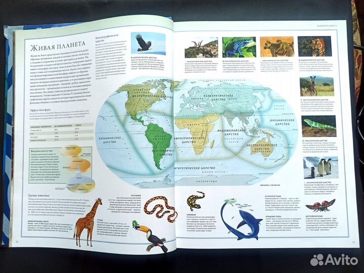 Атлас животного мира.(энциклопедия)