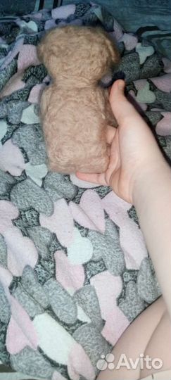 Игрушка