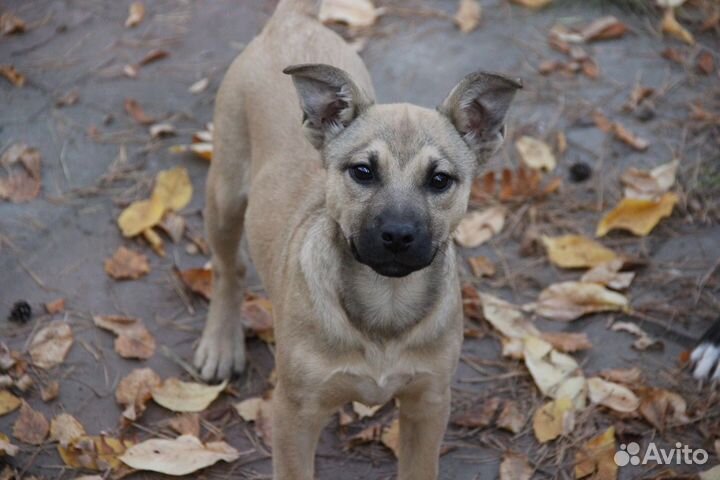 Девочка 3,5 месяца. Стерильна