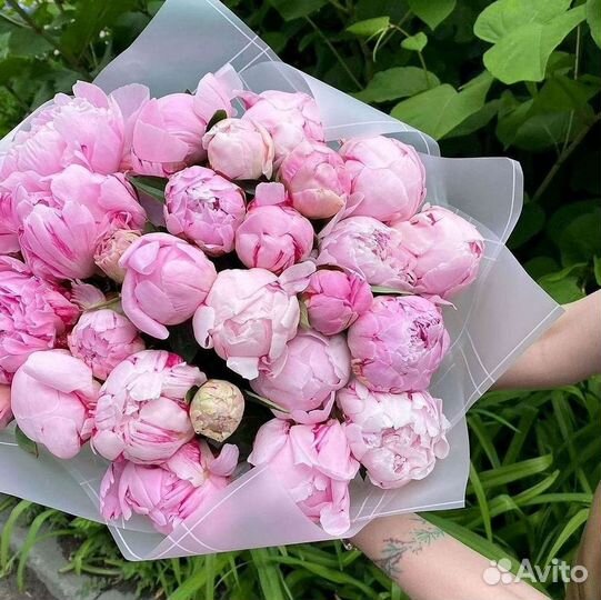 Пионы Цветы Доставка