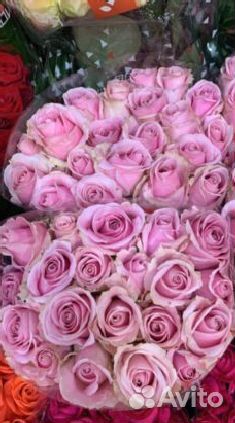 101 роза розы букет роз доставка цветов роза