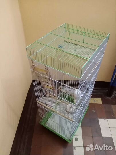 Клетка для грызунов многоярусная