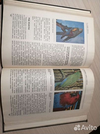 В.А.Гринёв Попугаи. М. Лесная промышленность 1991