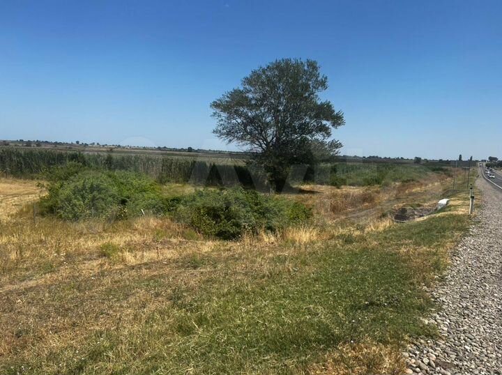 Участок 75 сот. (СНТ, ДНП)