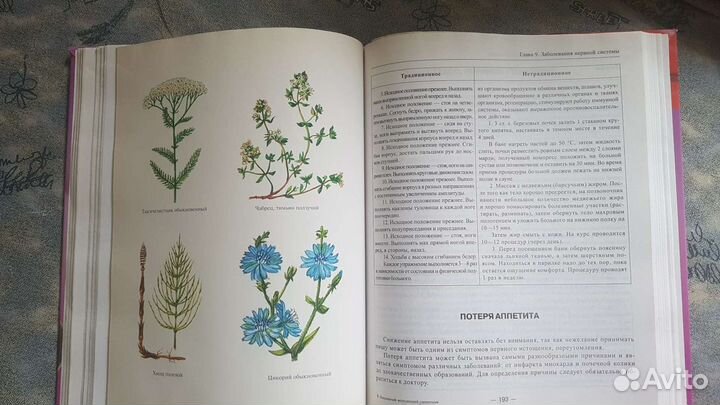 Самоучитель по рисованию.Словари