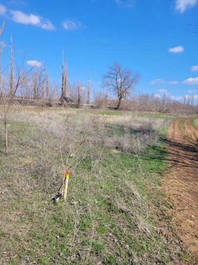 Участок 20 сот. (ИЖС)