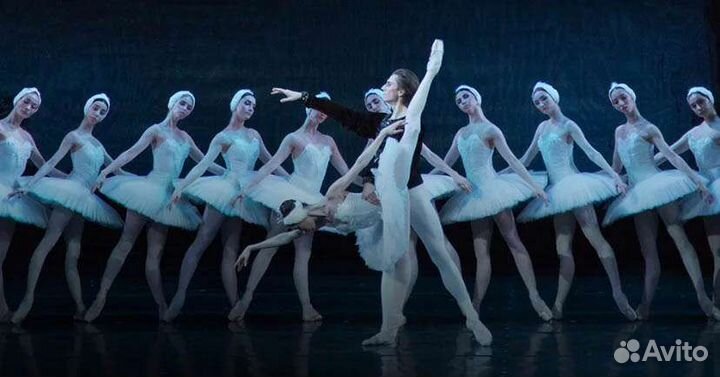 Билеты на Лебединое озеро в театр Станиславского