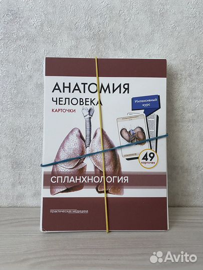 Карточки Сапина по спланхнологии