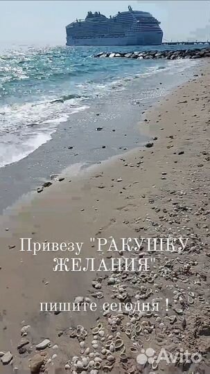 Морские ракушки раковины