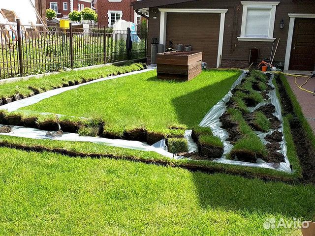 Автополив под ключ