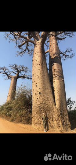 Комбинезон женский 40 42 летний