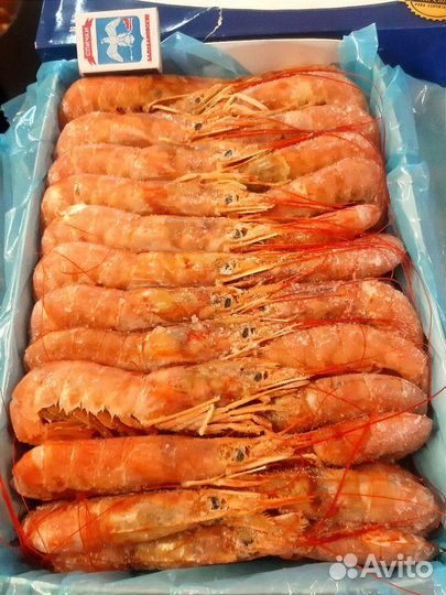 Лангустины L1,C1(крупные)