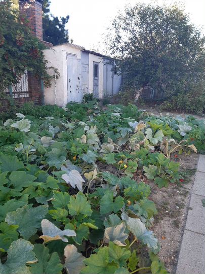 4-к. квартира, 93 м², 1/1 эт.