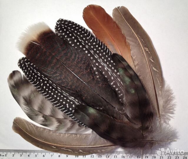 Перья индейки и др. птиц в наборах
