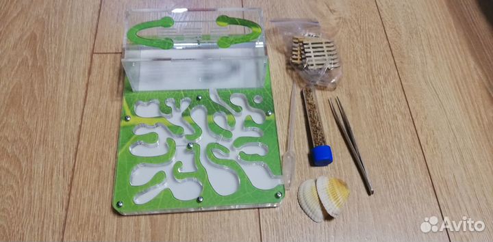 Муравьиная ферма