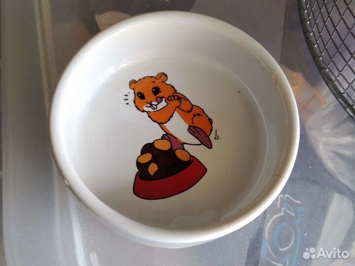 Товары для животных