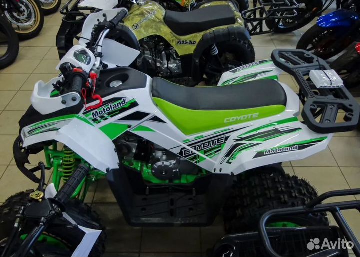 Квадроцикл Motoland Coyote 125 зеленый