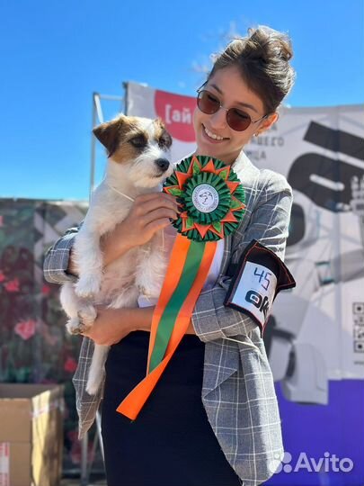 Услуги хендлера