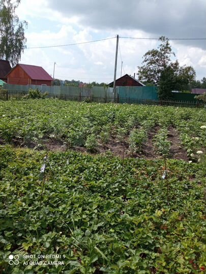 Участок 8 сот. (СНТ, ДНП)