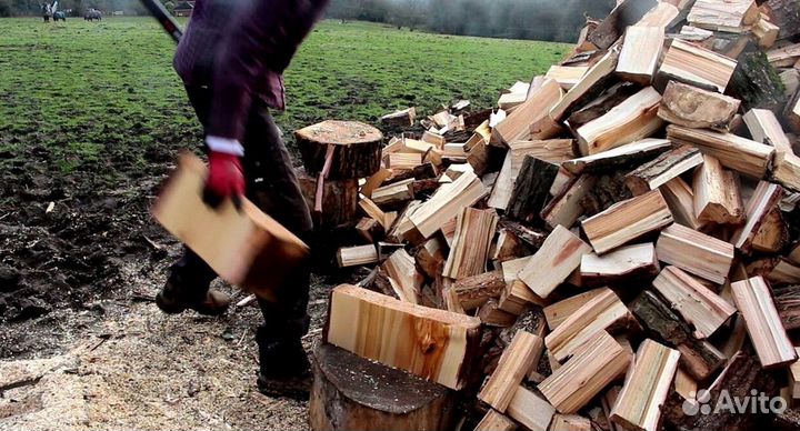 Дрова сухие