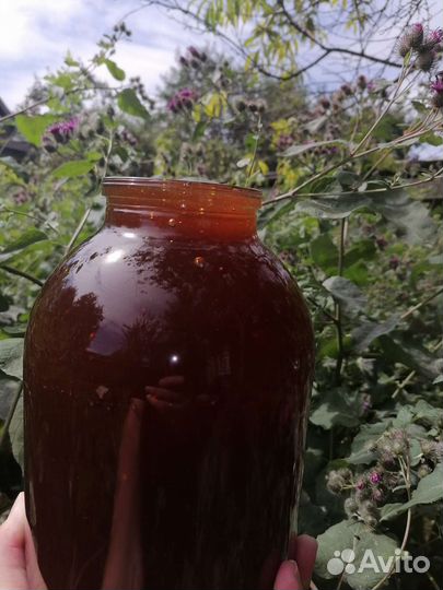 Мед гречка 2023. Гречишный мёд 3 литра